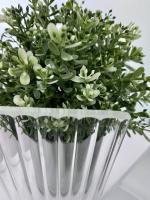 Перегородка для душа RGW WA-08G  70*195 06100807-156 профиль Золото стекло Ribbed 8 мм RGW